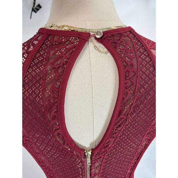 NWT Windsor Size Small Dress Valentines Lace Nude Lined Sheer Keyhole Back - Picture 11 of 15